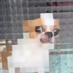 480P