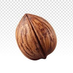 nuts / SOL