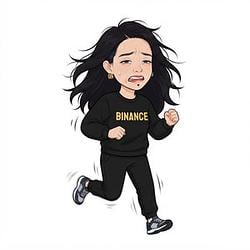 东奔西走 / BNB