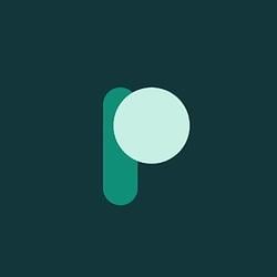 Ponspad