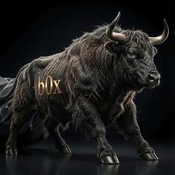 b0x test / SOL