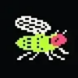 STONKFLY
