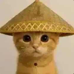 猫 / WETH