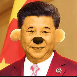 Xi