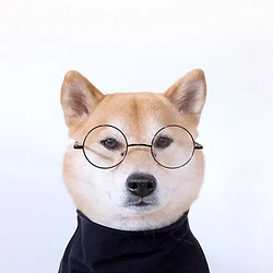 +inu