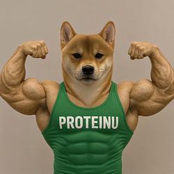 proteinu