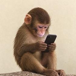 fone