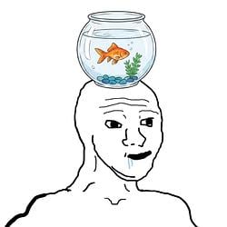 FISHBOWL / SOL