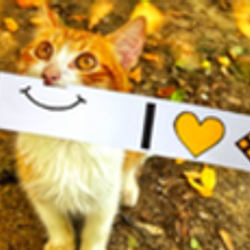 BinanceCat