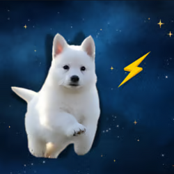 BOLT