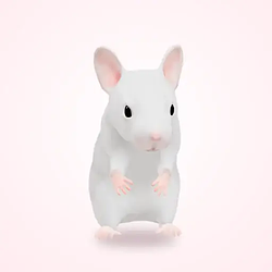 GEORGE