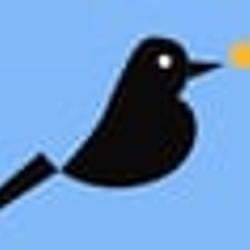 Magpie / SOL