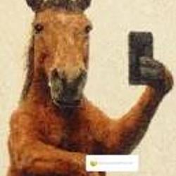 chillhorse / SOL