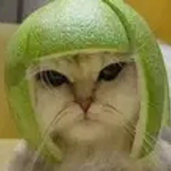 LIMECAT / SOL