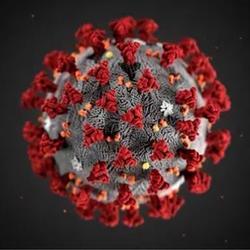 Virus