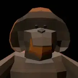 SAN