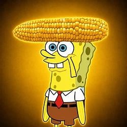Corn / SOL