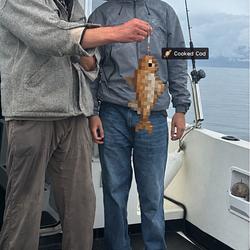 LEFISH
