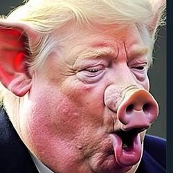 POTUS / SOL
