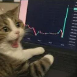 TRENCHCAT
