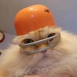 CATEWIF