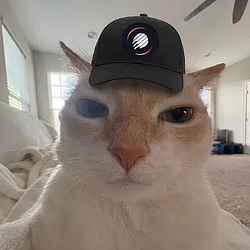 METCAT