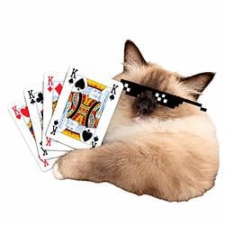 CATK