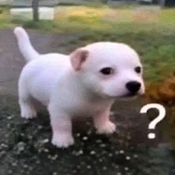 ?
