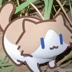 SalaryCat