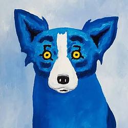 bluedog / SOL