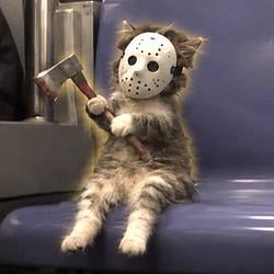 slashcat