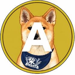 Akita / SOL