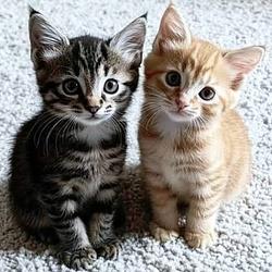 TWINCAT