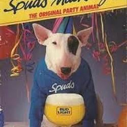 Spuds / SOL