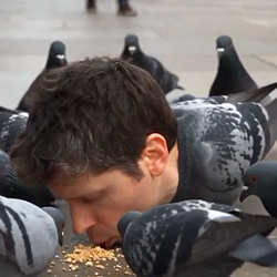PIGEONMAN