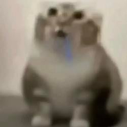 tung