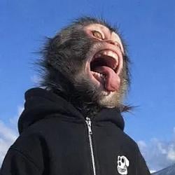 LiarLiar
