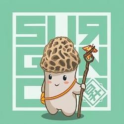 羊肚菌 / BNB
