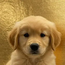 GOLDEN