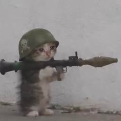 rocketcat
