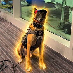 FLASH / SOL