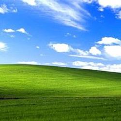 touchthegrass