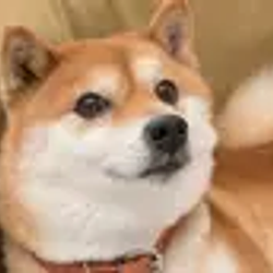 clankerdoge logo