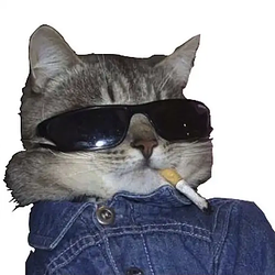 SAT