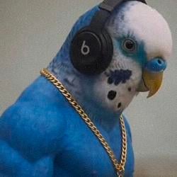 CUZB