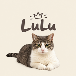LuLu