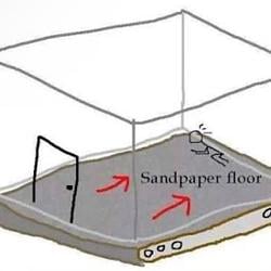 Sandpaper / SOL