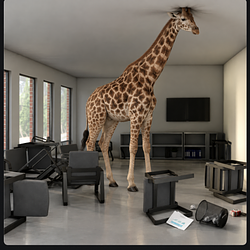 giraffe