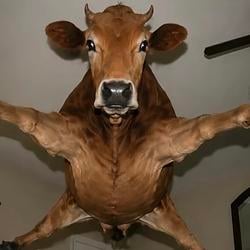 TheCow