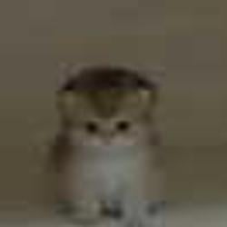 NR
